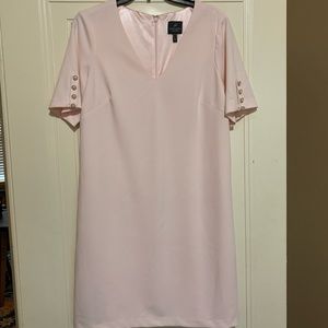 Adrianna Papell shift dress